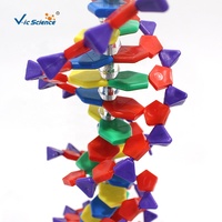 Modèle de structure de la double hélice ADN, modèle moléculaire d'ADN détachable pour l'enseignement en laboratoire de biologie CE/ISO/ROHS/CNAS