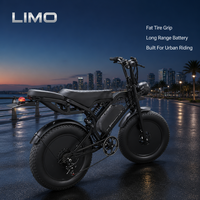 Vélo électrique tout-terrain robuste pour adultes avec pneus larges et batterie amovible, idéal pour la conduite hors route, OEM ODM disponible