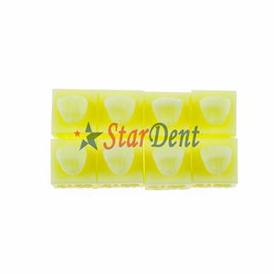 Modèle d'enseignement en résine dentaire, modèle de pratique de remplissage <span class=keywords><strong>composite</strong></span> dentaire, modèle de <span class=keywords><strong>dents</strong></span> en résine <span class=keywords><strong>pour</strong></span> <span class=keywords><strong>les</strong></span> <span class=keywords><strong>dents</strong></span> antérieures ou postérieures - Product Image 3