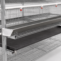 Cage à poulets en H galvanisée avec système d'alimentation, d'abreuvement et de collecte d'œufs automatiques pour élevage avicole