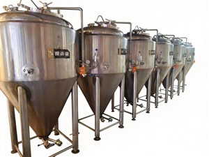 Système <span class=keywords><strong>de</strong></span> <span class=keywords><strong>brassage</strong></span> <span class=keywords><strong>de</strong></span> bière artisanale <span class=keywords><strong>de</strong></span> <span class=keywords><strong>300</strong></span> <span class=keywords><strong>litres</strong></span> 3BBL 3HL et <span class=keywords><strong>cuve</strong></span> <span class=keywords><strong>de</strong></span> fermentation conique <span class=keywords><strong>de</strong></span> 600L - Product Image 4