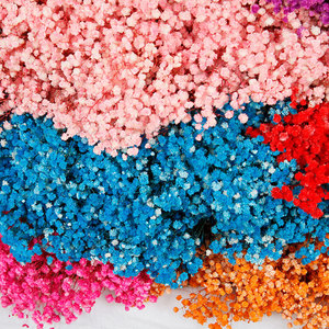 Decoración <span class=keywords><strong>flor</strong></span> seca conservada flores gypsophila <span class=keywords><strong>paniculata</strong></span> aliento <span class=keywords><strong>de</strong></span> bebé para diseño <span class=keywords><strong>de</strong></span> boda 120g - Product Image 6