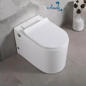 Amaze New design sanitary ware ceramic one piece wc pulse toilet without water tank
