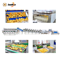Industriële tomaten-, radijs-, wortel-, komkommer- en borstelwasmachine, groente- en fruit sorteermachine, aardappelwas- en sorteerlijn