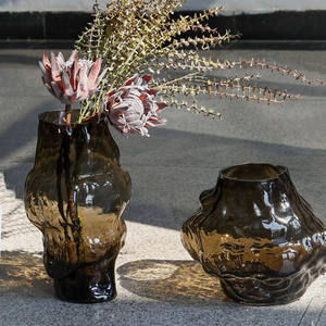 Vase en verre moderne et créatif, forme spéciale, décoration de table hydroponique - Product Image 4