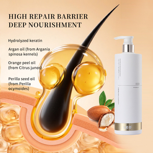 Champú Reparador del Cuero Cabelludo con Aceite de Argán de Marca Privada, Champú Anticaída, Champú Reparador del Cabello Dañado - Product Image 4