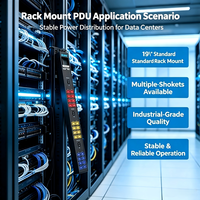 PDU rack 63A 24 prises C13 avec protection intégrée contre les surcharges