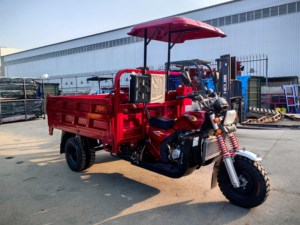 Nouvelle Arrivée 2026 Tricycle Moto 300CC à Essence 5 Roues Auto-chargeur pour Passagers et Marchandises, Charge Lourde, Haute Vitesse - Product Image 6