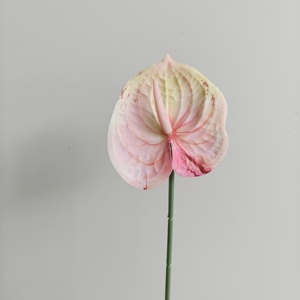 Fleur d'Anthurium Artificielle de Haute Qualité, Aspect Réel, Vente en Gros, pour Arrangements Floraux de Mariage et Décoration Intérieure - Product Image 6