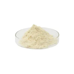 Grade Direct Supply Food Grade Pyridoxal-5-Phosphate Vitamin B6 P5P