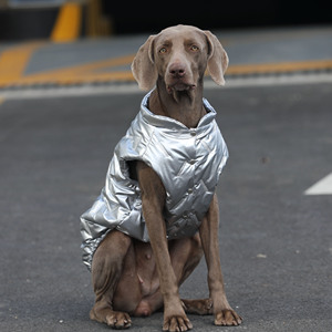 Gilet invernale in argento per Labrador/Golden Retriever/Border Collie/Weimaraner Dog-abbigliamento caldo per <span class=keywords><strong>cani</strong></span> - Product Image 2