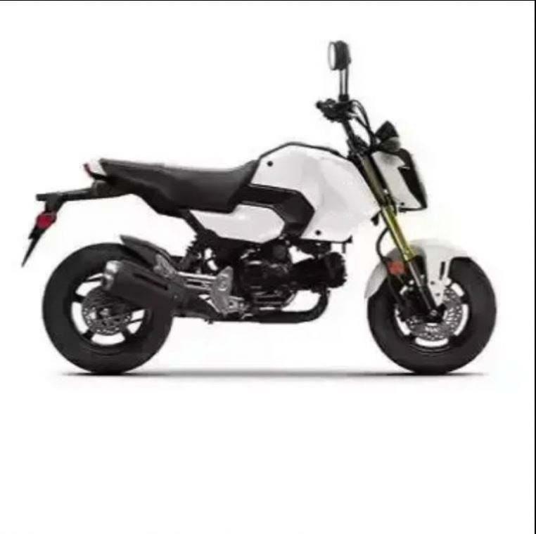 Honda Grom Bikes 2024 Brushless 4-Stroke Sport Motorcycles