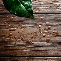 Planche de terrasse composite WPC durable et imperméable XF-G002, finition brossée, revêtement de sol extérieur en bois-plastique pour patio et jardin, 140x25 mm