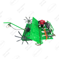 2ZT-6A MINI TRANSPLANTER de riz de marche avec 6 rangées