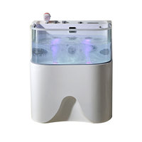 Baignoire pour animaux de compagnie en acrylique avec lumières LED, faible bruit, contrôle thermostatique, fonctions de massage et d'hydromassage, design autoportant