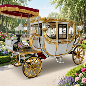 Carruaje Real Eléctrico para Bodas - Capacidad para 6 Personas, Color Personalizable, Transporte Especial y Turismo en Venta - Product Image 1