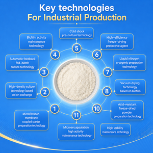 Polvo Probiótico Liofilizado de Bifidobacterium Longum CCFM760 de Alta Estabilidad OEM para la Salud Intestinal y el <span class=keywords><strong>Estreñimiento</strong></span> - Product Image 6
