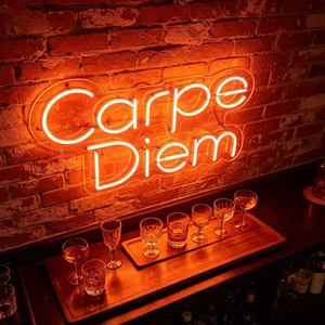 Enseigne lumineuse LED néon personnalisée avec cadre en cristal, étanche IP67, blanc chaud dimmable pour chambre à coucher, fête d'anniversaire et décoration intérieure - Product Image 2