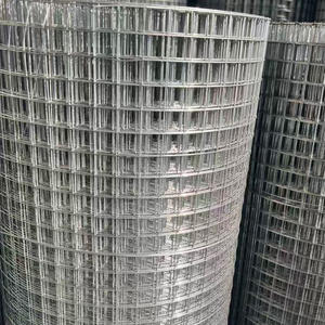 Rollo <span class=keywords><strong>de</strong></span> Malla <span class=keywords><strong>de</strong></span> Alambre Electrogalvanizado para Jaulas <span class=keywords><strong>de</strong></span> Gallinas en Granjas Avícolas - Product Image 5