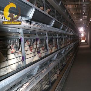 Jinmuren a type layer chicken fully automatic poultry <strong>farms</strong> 10000 15-20 years layer chickens farm <strong>bird</strong> cage - Product Image 4