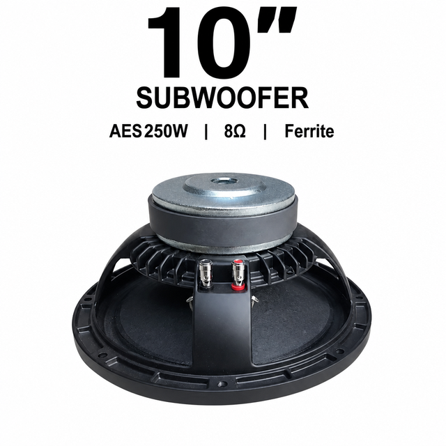 LS RG10F65 10" Dual Driver Full-range Passive Speakers with Metal Enclosure 46-3800Hz Frequency Response 8 Ohm Impedance