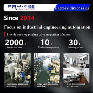 Attuatore Elettrico Motorizzato a Quarto di Giro IP67 OEM di Fabbrica, Segnale di Feedback 4-20mA DC, Centrale Elettrica - Product Image 4