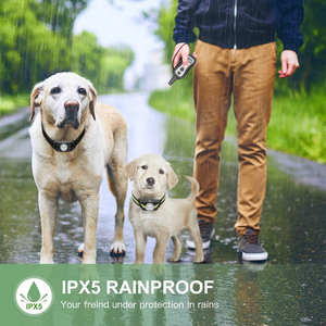 Último modelo de equipo de entrenamiento para dejar de ladrar para mascotas al aire libre 300M Control remoto tono de advertencia vibración perro Anti ladridos <span class=keywords><strong>Collar</strong></span> de choque - Product Image 6