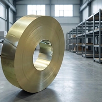Bobines/Bandes d'acier prélaqué PPGI galvanisé à chaud couleur RAL, certifiées BIS KS, prix usine, services de découpe et de pliage