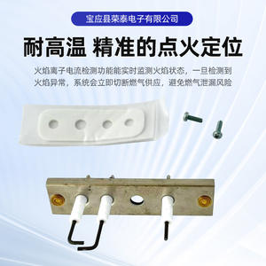 Electrodo de Encendido Viessmann Vitopend 100-W, Encendido Electrónico, Pieza para Calentador de Agua a Gas de Pared - Product Image 3