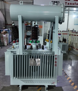 Trasformatore Trifase Personalizzabile a Immersione in Olio MV HV 11kv 22v 33kv 400v 100kva 200kva 400kva 800kva 2500kva - Product Image 4