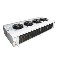 1 Set MOQ 100 ㎡ -160 ㎡   Ruang Pendingin Pengawet Bunga dengan Evaporator Keluaran Udara Ganda Hemat Energi 220V Evaporator Tiup Ganda Sisi