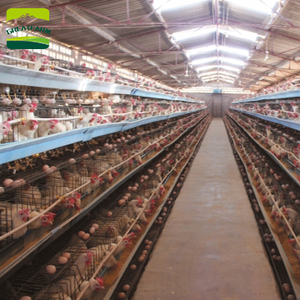 Tuyệt vời trang trại nóng bán thép gà coops hen nhà cho xây dựng tự động lớp & pin lồng sử dụng & Điều kiện Mới - Product Image 6