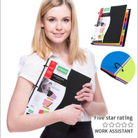 Carpeta de Archivo con Clip de 3 Anillos, Extraíble, para Organización de Oficina, Material PP, Diseño de Carpeta para Cuadernos