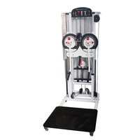 Appareil de musculation multifonctionnel pour salle de sport, machine à traction latérale et à levée latérale, avec système de charge par broche, pour entraînement en position debout