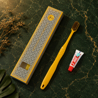 Kit dentaire jetable personnalisé avec brosse à dents à poils souples et dentifrice 3g pour les fournitures d'hôtel/motels/maisons d'hôtes
