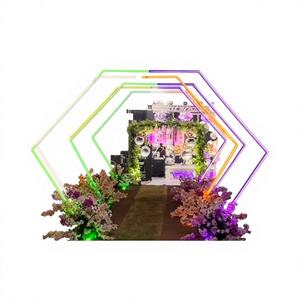 Arche d'entrée lumineuse géométrique effet tunnel pour mariage, en métal, avec éclairage LED néon - Product Image 1