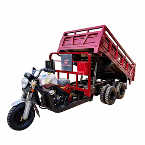 รถสามล้อเครื่องยนต์ 350 ซีซี 9 ล้อ แบบมีเพลาหลังคู่ พร้อมกระบะท้าย - Product Image 6