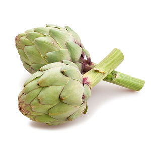 Heißer Verkauf Hochwertiger Cynara Scolymus Extrakt Pulver 2,5% 5% <span class=keywords><strong>Cynarin</strong></span> Natürliches Kräuter-Nahrungsergänzungsmittel in Flaschenverpackung - Product Image 2