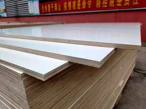 Lámina de Madera Contrachapada de China/Fabricante de Madera Contrachapada, Madera Contrachapada con Revestimiento HPL de <span class=keywords><strong>Color</strong></span> Blanco de 17 mm y 18 mm - Product Image 3