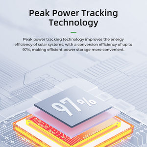 ตัวควบคุมการชาร์จพลังงานแสงอาทิตย์แบบ MPPT อัตโนมัติ 60A 12V/24V/48V พร้อมหน้าจอ LCD ประสิทธิภาพสูงสำหรับแบตเตอรี่ลิเธียม ลดราคา 10% ขายด่วน - Product Image 4