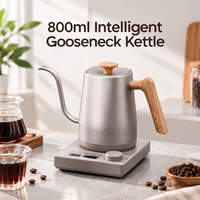 Bouilloire électrique à col de cygne Kingze OEM 800 ml en acier inoxydable à ébullition ultra-rapide, réglable, pour café à faire couler