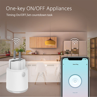 Prise intelligente Haozee Zigbee 3680W 16A avec surveillance de la consommation d'énergie, minuterie, prise EU, compatible Home Assistant Zigbee2mqtt
