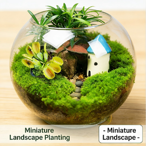 Mousse verte sèche <span class=keywords><strong>pour</strong></span> tortues, terre à base de noix de coco <span class=keywords><strong>pour</strong></span> l'hivernage, conservant l'humidité, <span class=keywords><strong>pour</strong></span> les fournitures d'escalade des animaux de compagnie, orchidée/dendrobium - Product Image 1