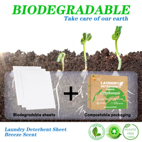 Feuilles de lessive à base de plantes ODM personnalisées feuilles de détergent de lessive biodégradables écologiques