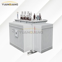 Transformador de Distribución Trifásico Sellado y Lleno de Aceite de 22kV 315kVA 1000kVA 1600kVA IEC sin PCB para Parques Eólicos