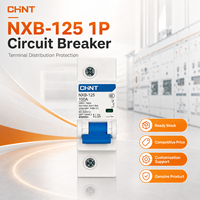 Disjoncteur CHINT NXB-125 Courbe C 1P 63A 80A 100A 125A MCCB