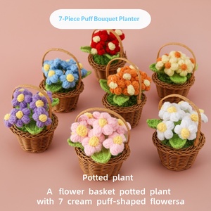 Cesta de Suculentas Tejida a Crochet Hecha a Mano con 7 Cabezas, Vendida en Puestos de Mercado Nocturno, Como Regalo para Compañeros de Clase, Maestros y Colegas - Product Image 2