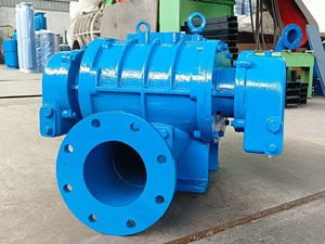 Souffleur à racines industrielles, pompe à air à déplacement positif refroidie par eau pour le traitement des eaux usées, tension 220V - Product Image 2