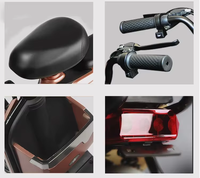 Vélo Électrique de Route 48V 350W pour Adultes, Prix de Gros 2026, Charge Maximale 150kg, Vélo Électrique Urbain à Deux Places, Vélo Électrique à Deux Roues