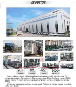 บล็อกเลียเกลือ400ตันสี่คอลัมน์แบบกดไฮดรอลิกบล็อกการเลียเกลือของสัตว์ - Product Image 6